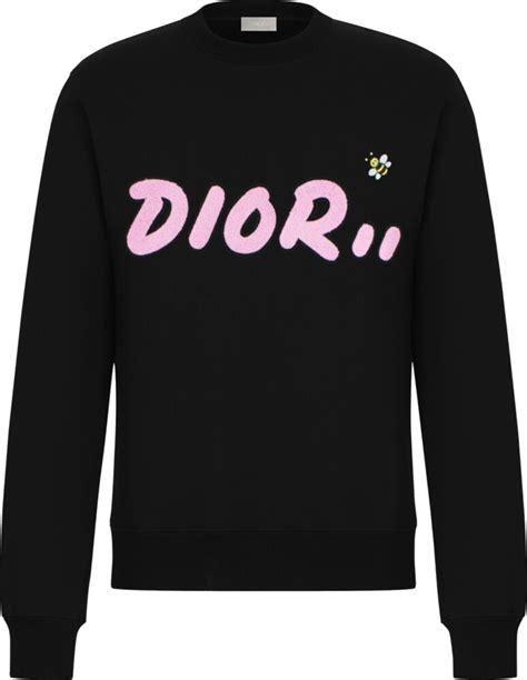 dior kaws sweatshirt|kaws dior clothing for women.